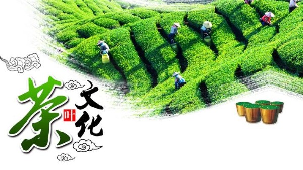 茶葉包裝要求規(guī)范